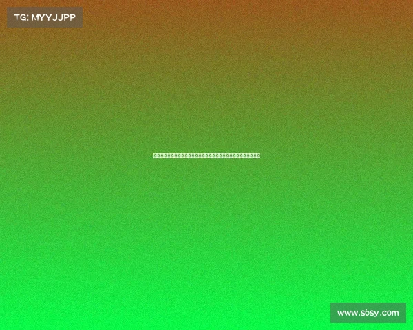 上海申鑫最近动向、沪上申鑫激战绿茵，力与美点燃赛场雄心镌刻申城