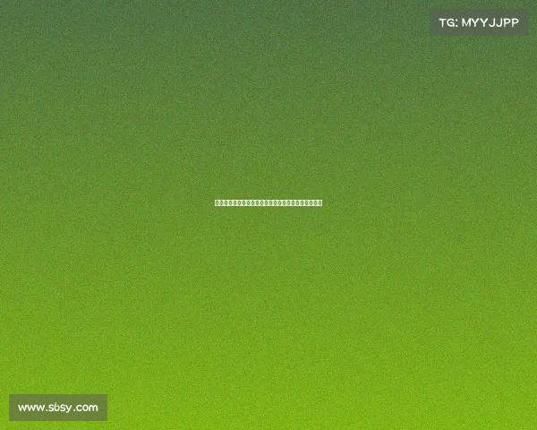 双循环赛事探究公平竞争机制下的战略博弈与团队合作